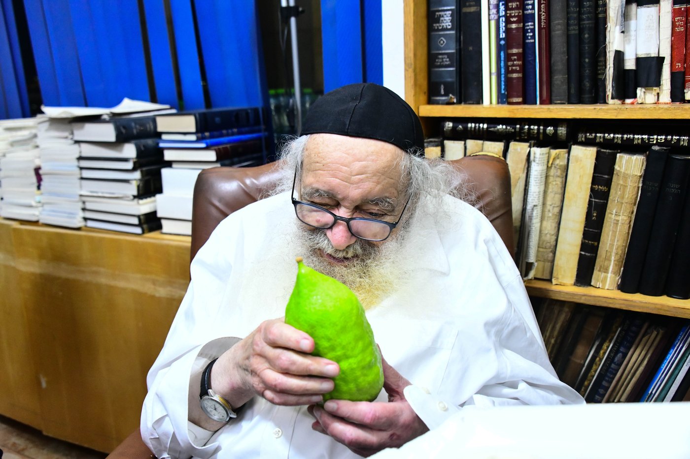 גדולי ישראל בבחירת אתרוגים לקראת חג הסוכות | צילום: שוקי לרר