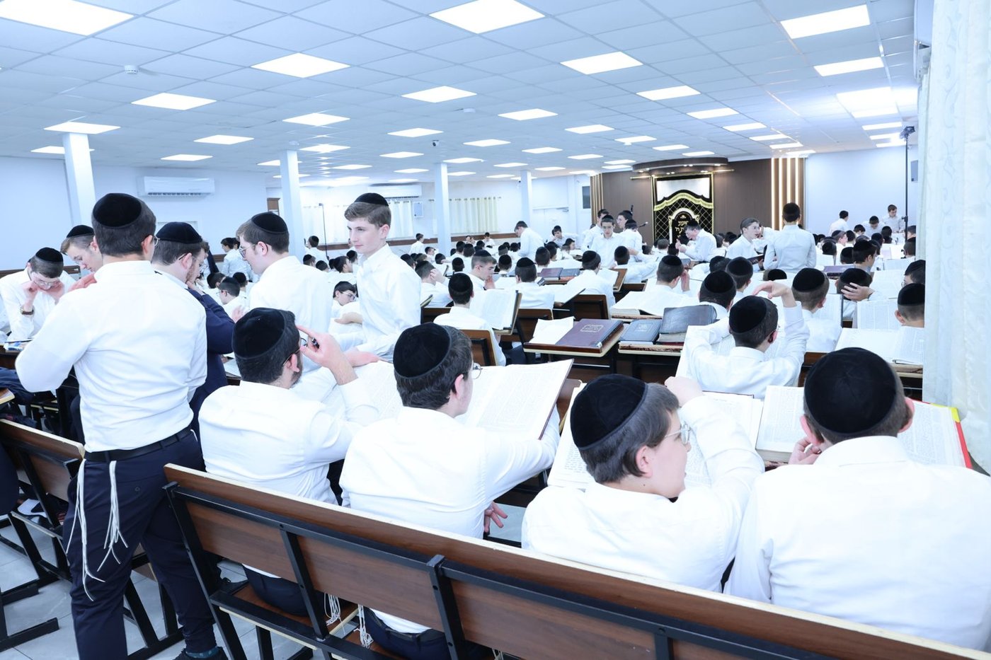 הגר"ש שטיינמן בישיבת ברכת שמואל | צילום: באדיבות המצלם