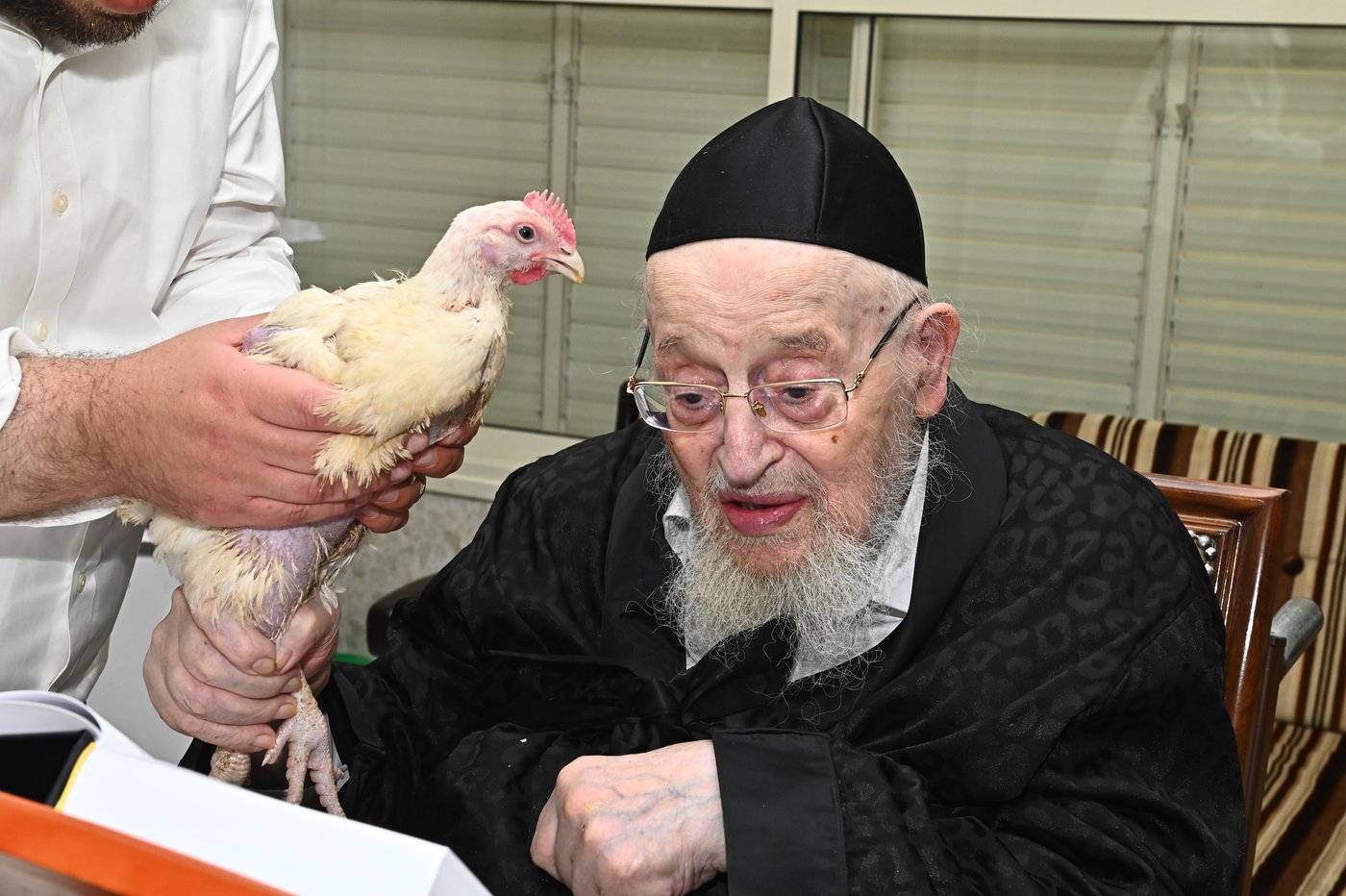 מרן הגאון רבי מאיר צבי ברגמן שליט"א במנהג כפרות | צילום: שוקי לרר