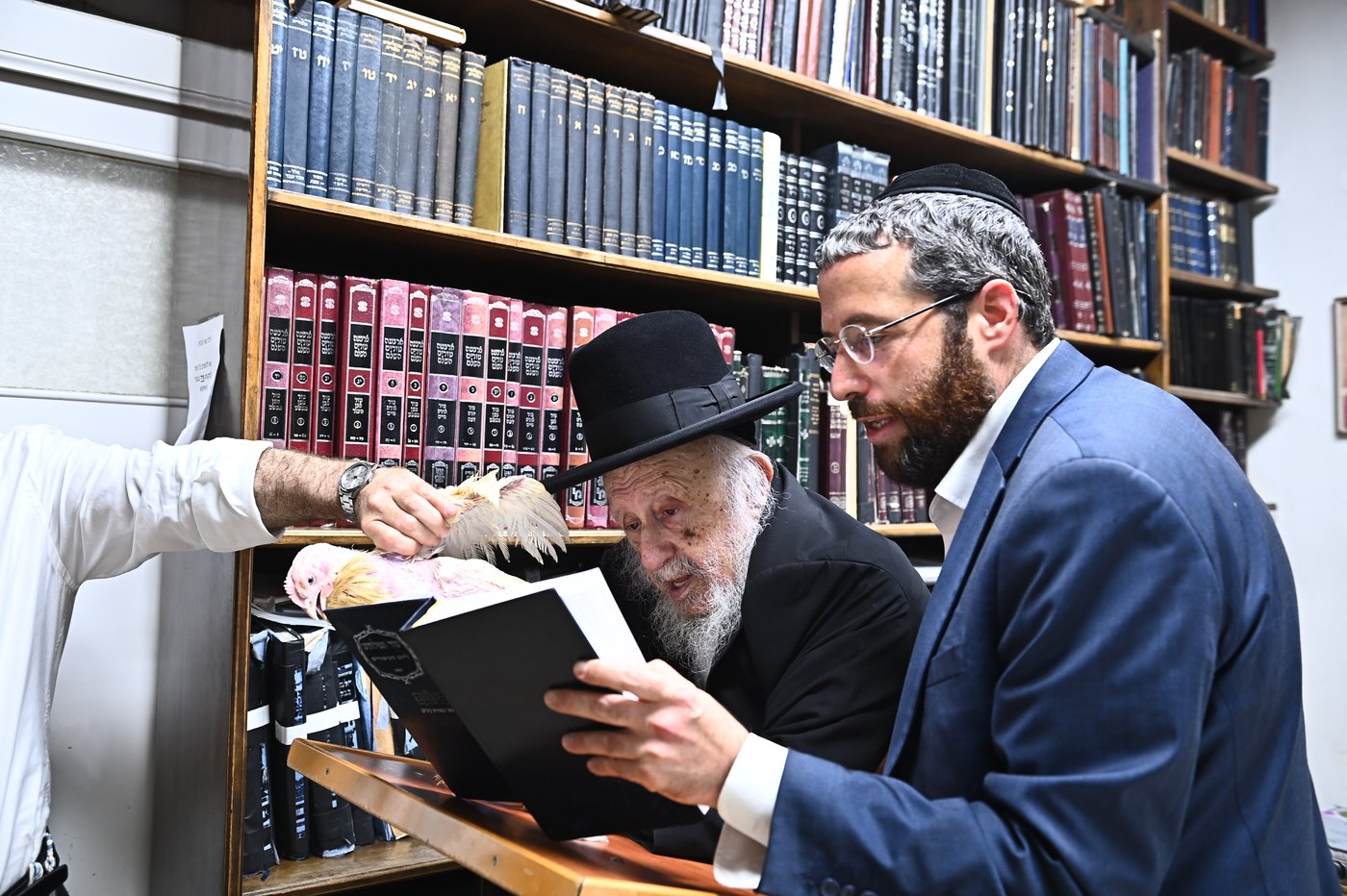 מרן הגאון רבי ברוך דב פוברסקי שליט"א במנהג כפרות | צילום: שוקי לרר