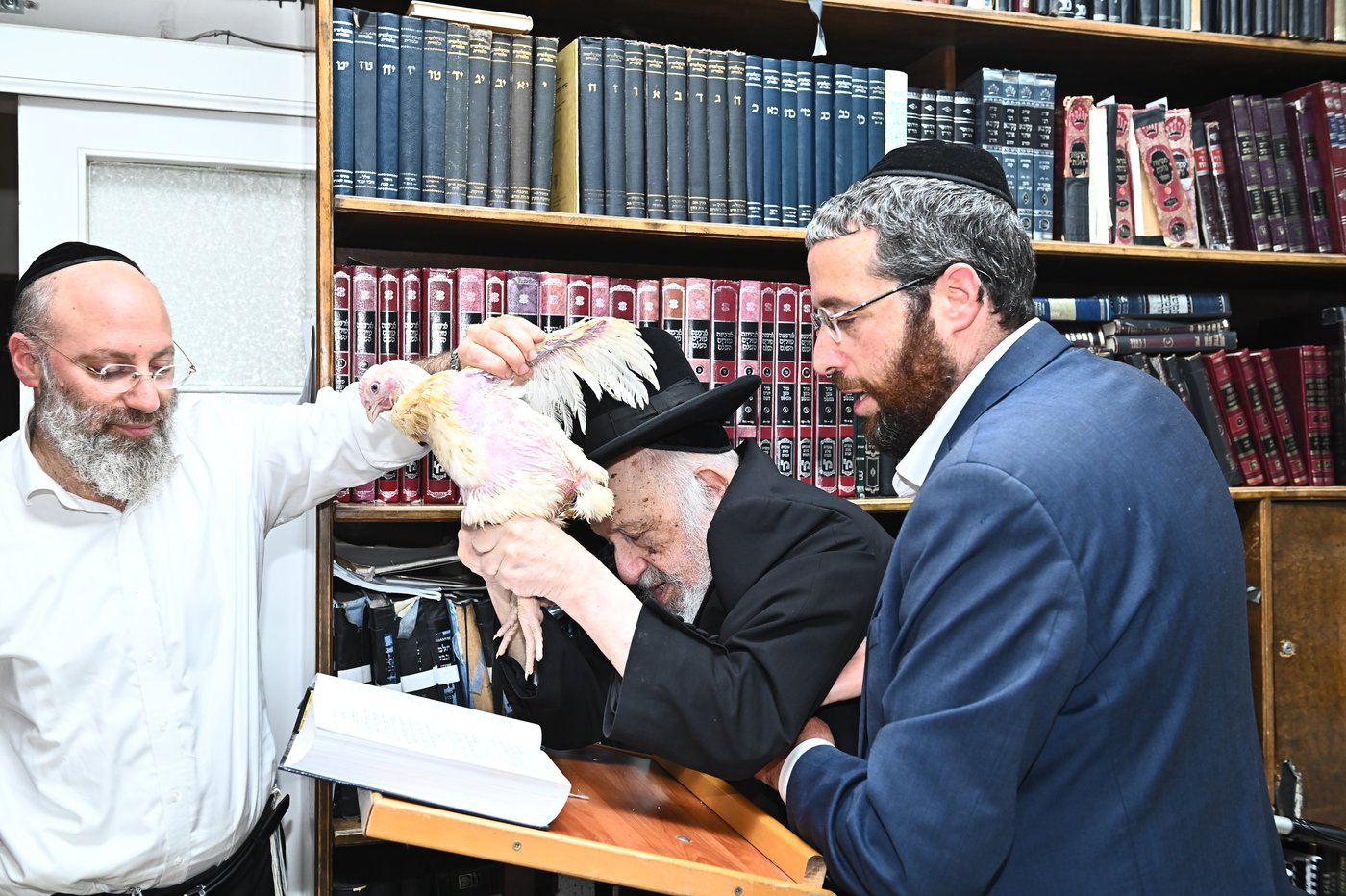 מרן הגאון רבי ברוך דב פוברסקי שליט"א במנהג כפרות | צילום: שוקי לרר