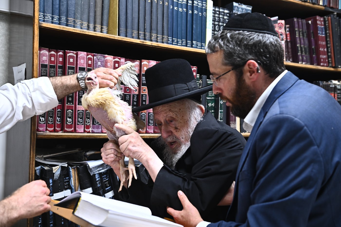 מרן הגאון רבי ברוך דב פוברסקי שליט"א במנהג כפרות | צילום: שוקי לרר