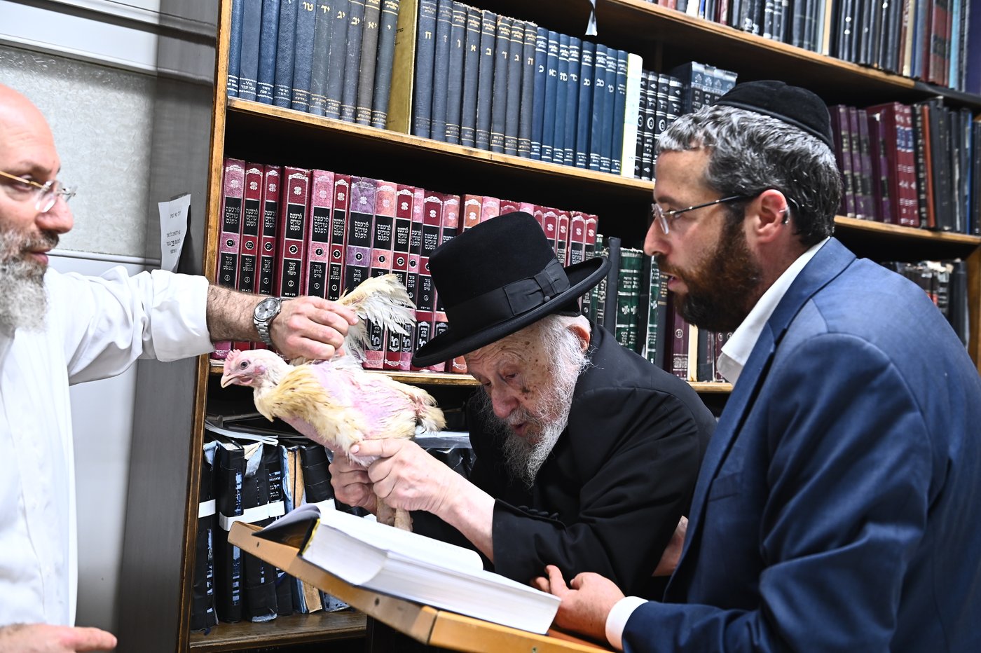 מרן הגאון רבי ברוך דב פוברסקי שליט"א במנהג כפרות | צילום: שוקי לרר