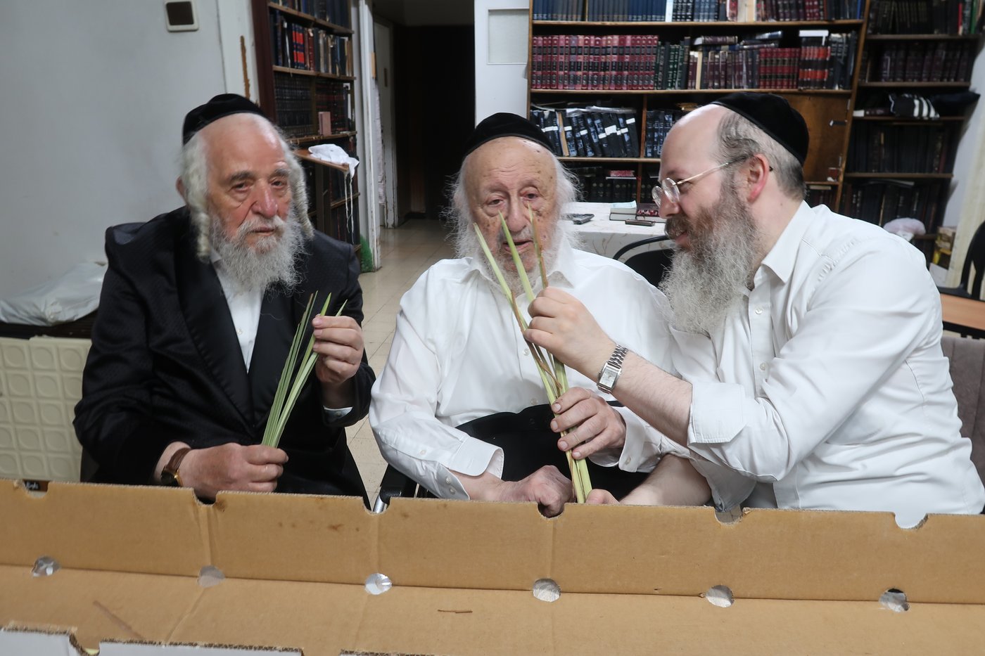 מרן ראש הישיבה הגאון רבי ברוך דב פוברסקי שליט"א בבדיקת לולבים