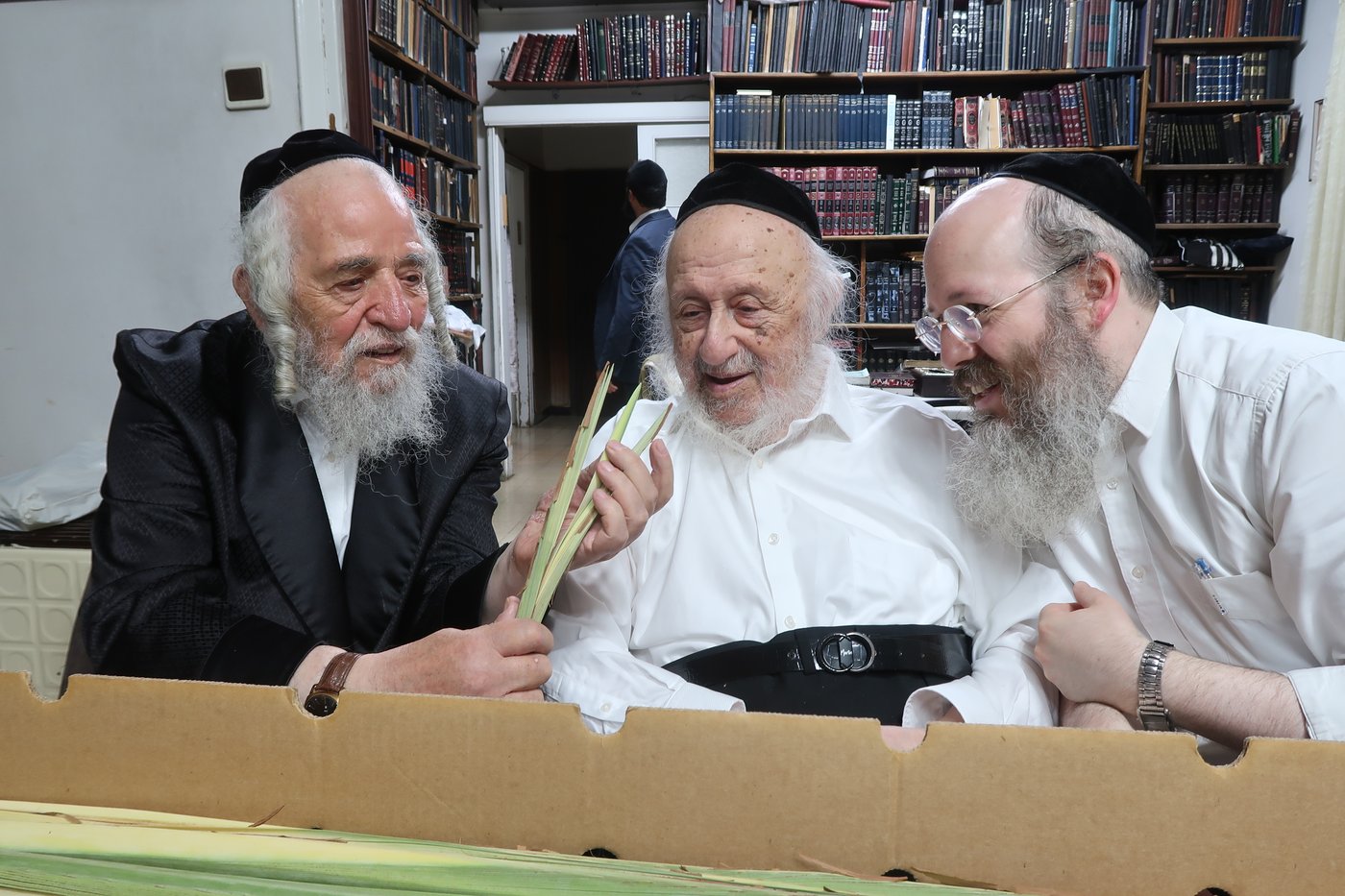 מרן ראש הישיבה הגאון רבי ברוך דב פוברסקי שליט"א בבדיקת לולבים