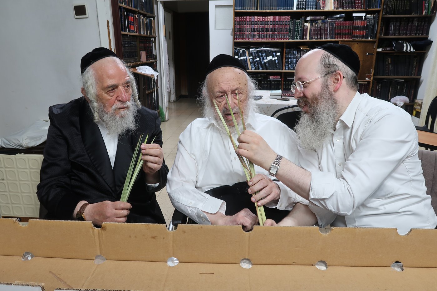מרן ראש הישיבה הגאון רבי ברוך דב פוברסקי שליט"א בבדיקת לולבים