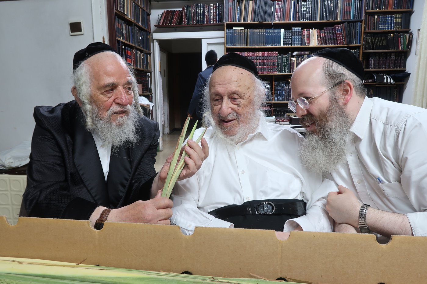 מרן ראש הישיבה הגאון רבי ברוך דב פוברסקי שליט"א בבדיקת לולבים