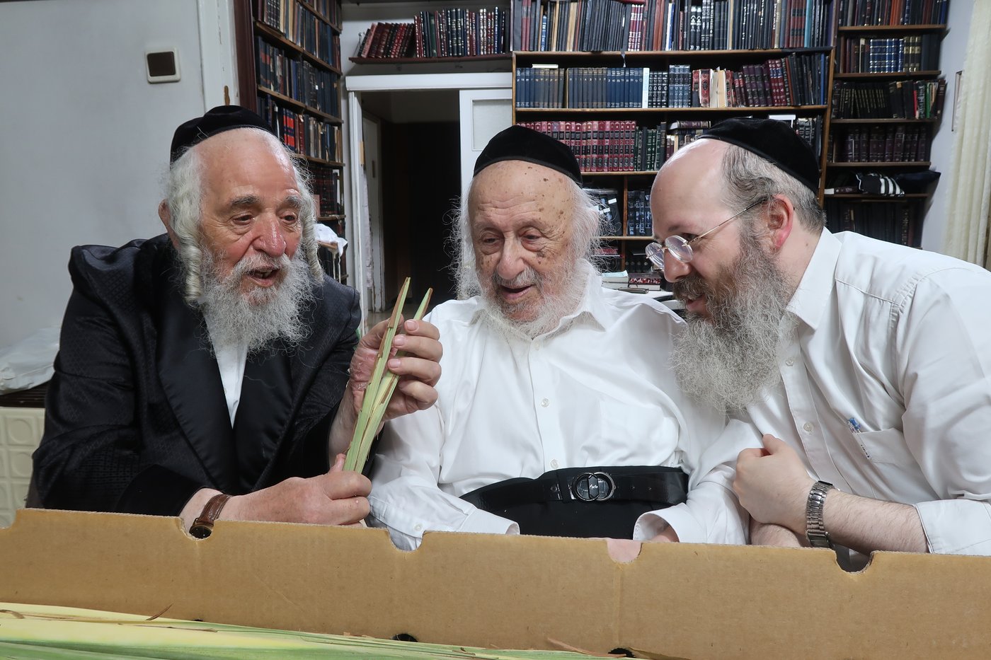 מרן ראש הישיבה הגאון רבי ברוך דב פוברסקי שליט"א בבדיקת לולבים