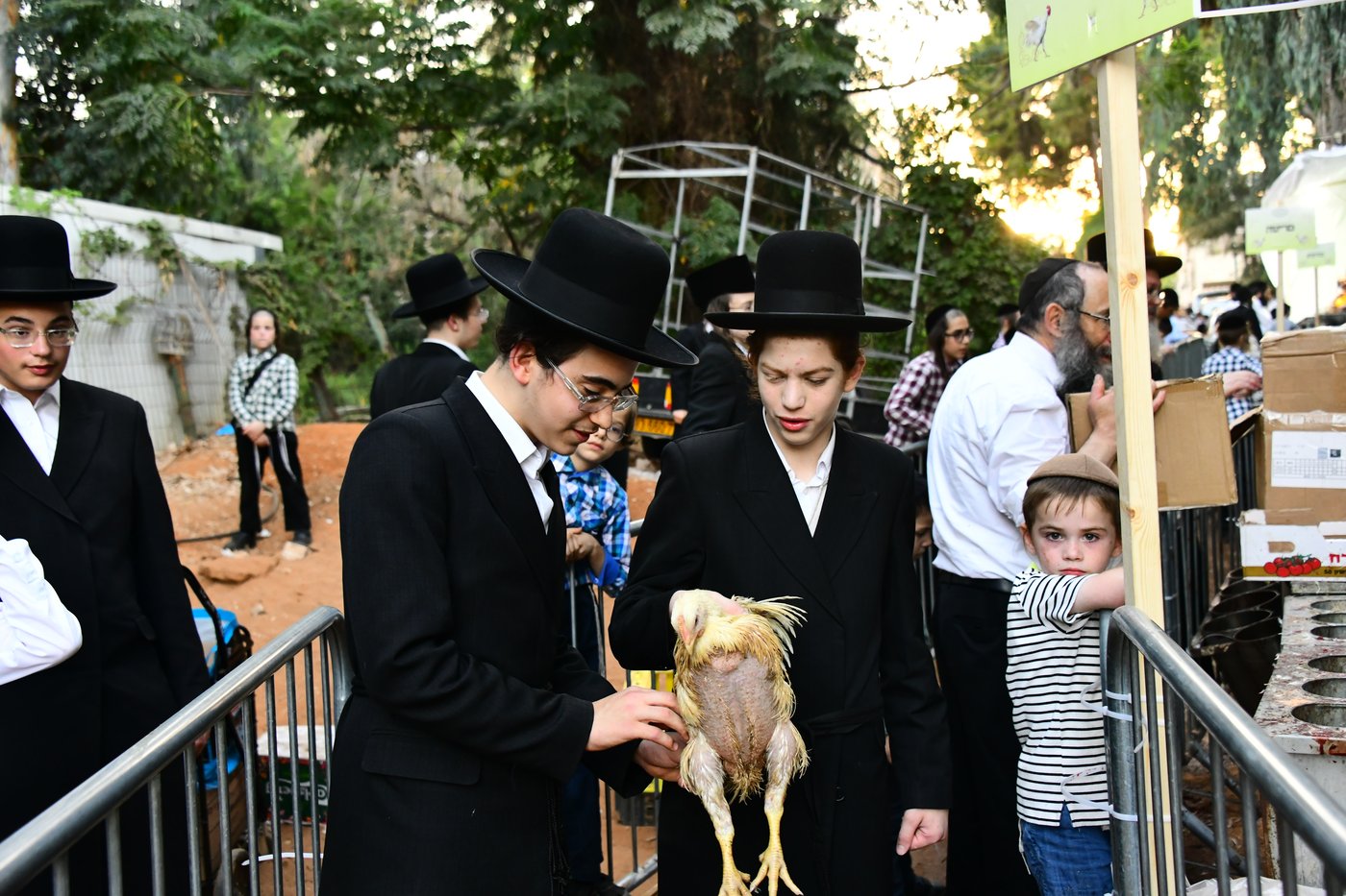 מנהג כפרות בבני ברק