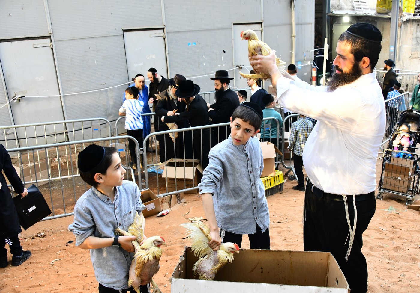 מנהג כפרות בבני ברק