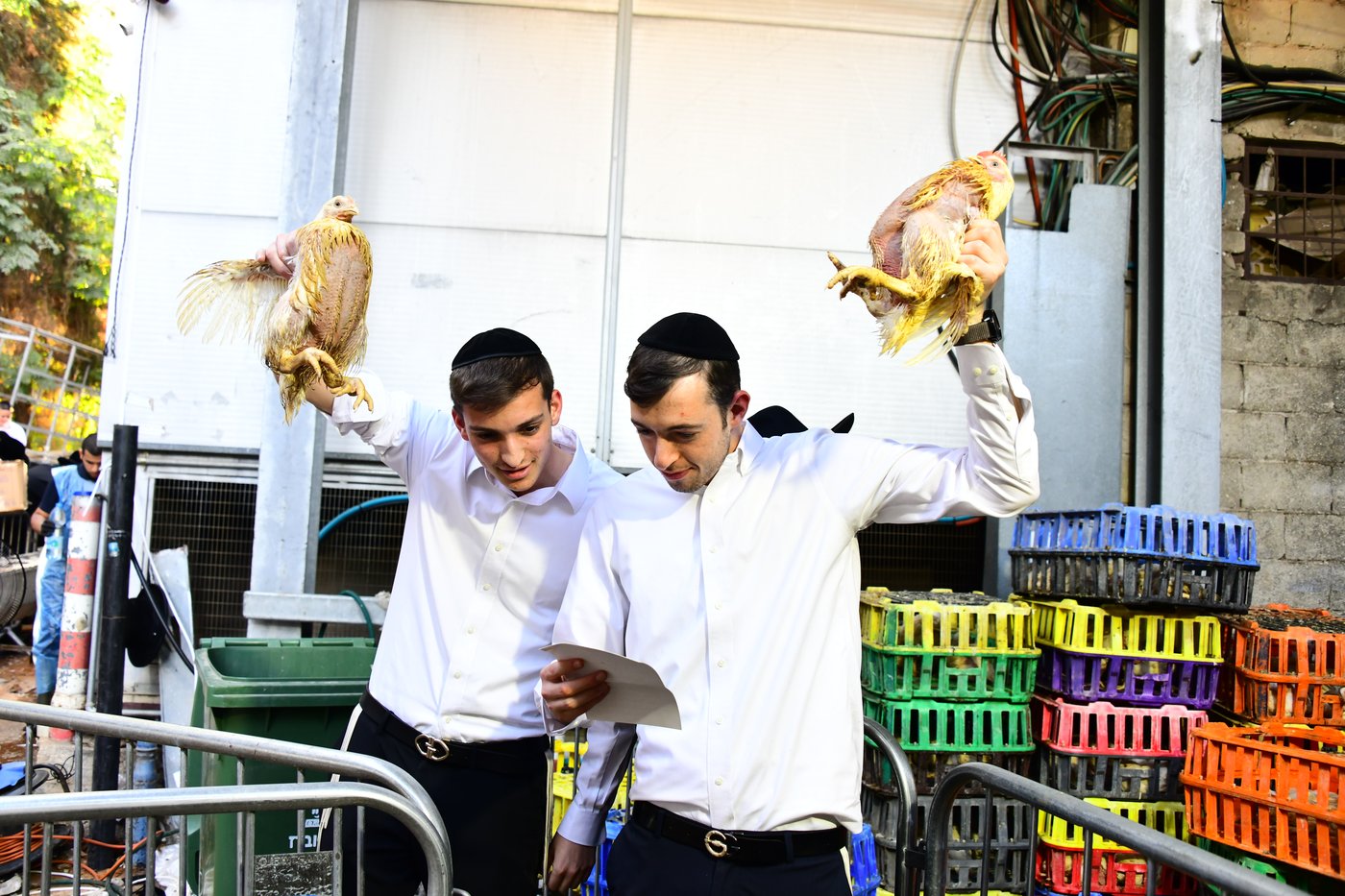 מנהג כפרות בבני ברק