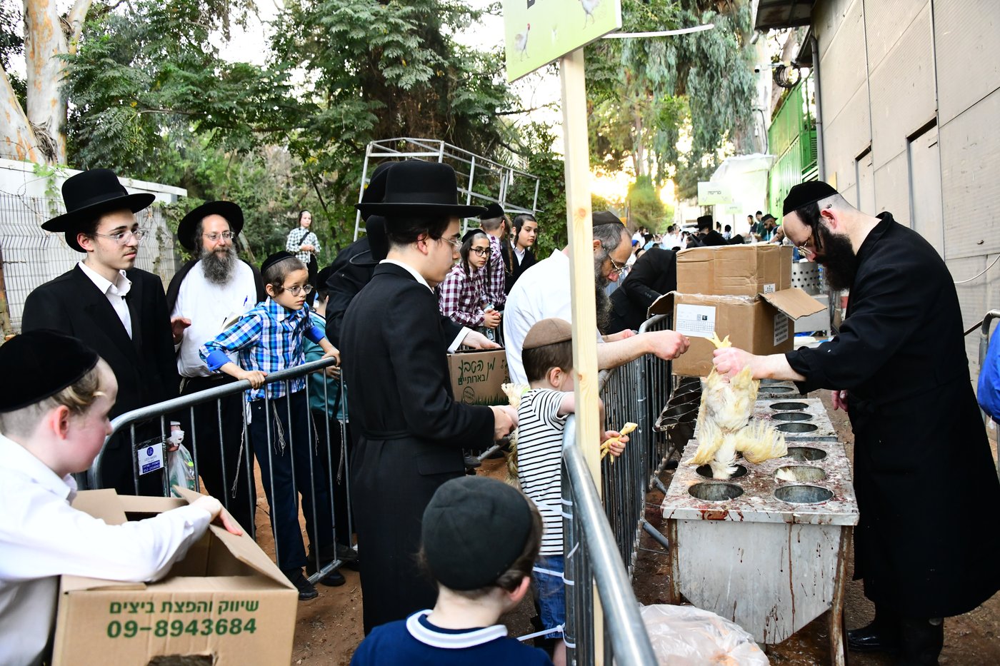 מנהג כפרות בבני ברק