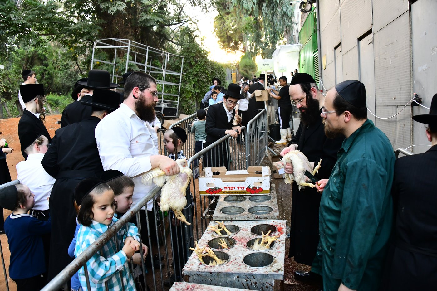 מנהג כפרות בבני ברק