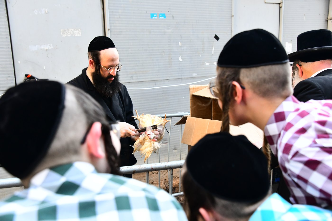 מנהג כפרות בבני ברק
