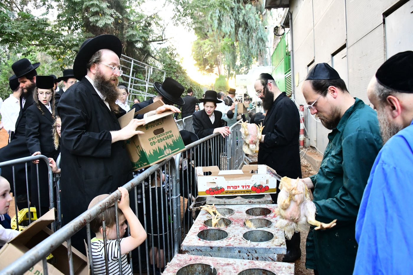 מנהג כפרות בבני ברק