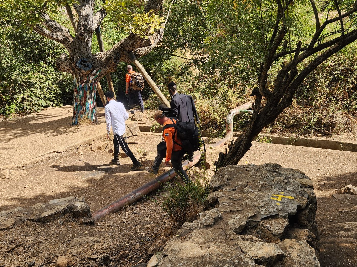 בחור ישיבה חולץ מהמסלול בין מירון לצפת לאחר התייבשות