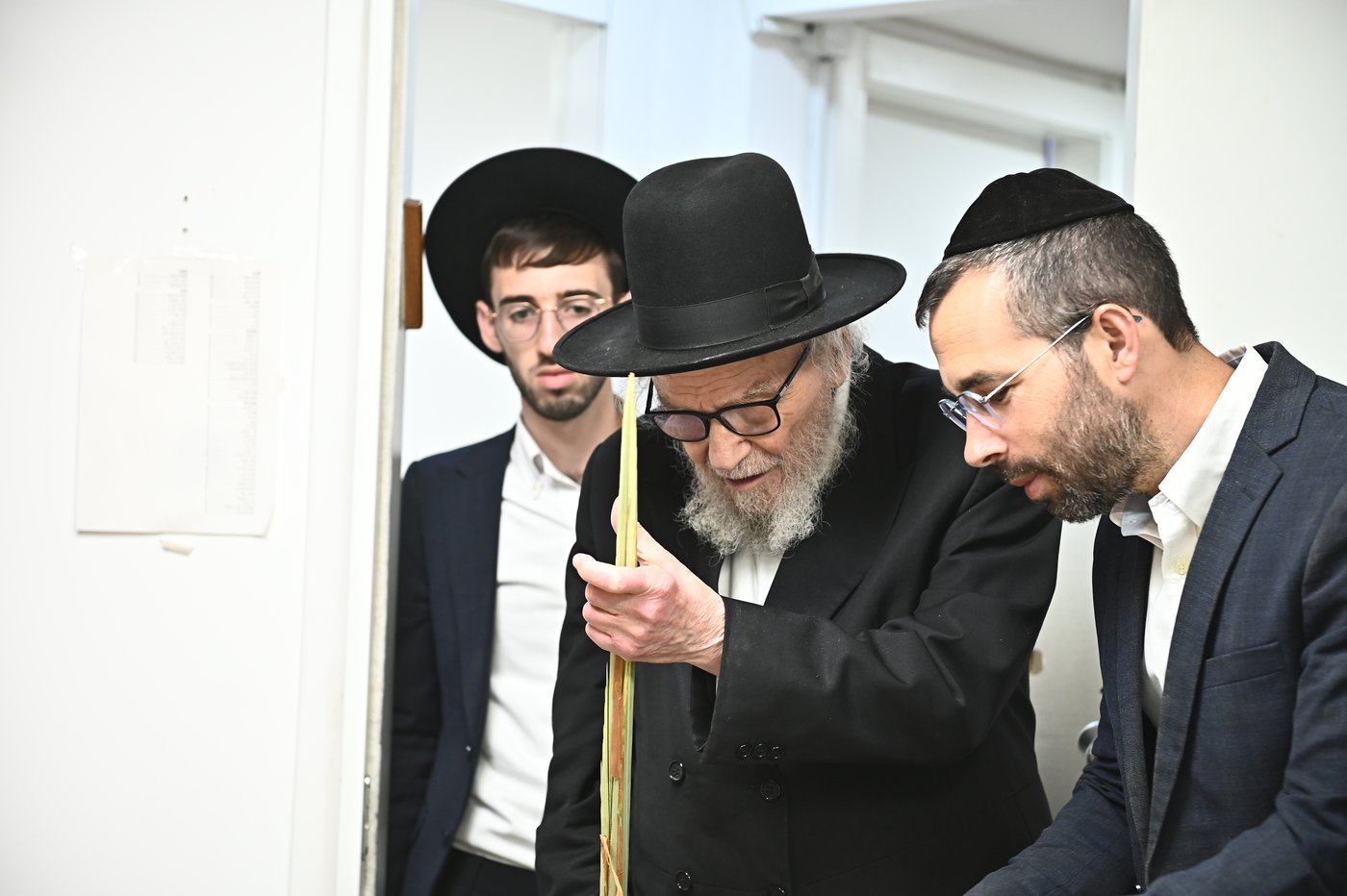 הגאון רבי משה הלל הירש שליט"א בבדיקת הלולבים