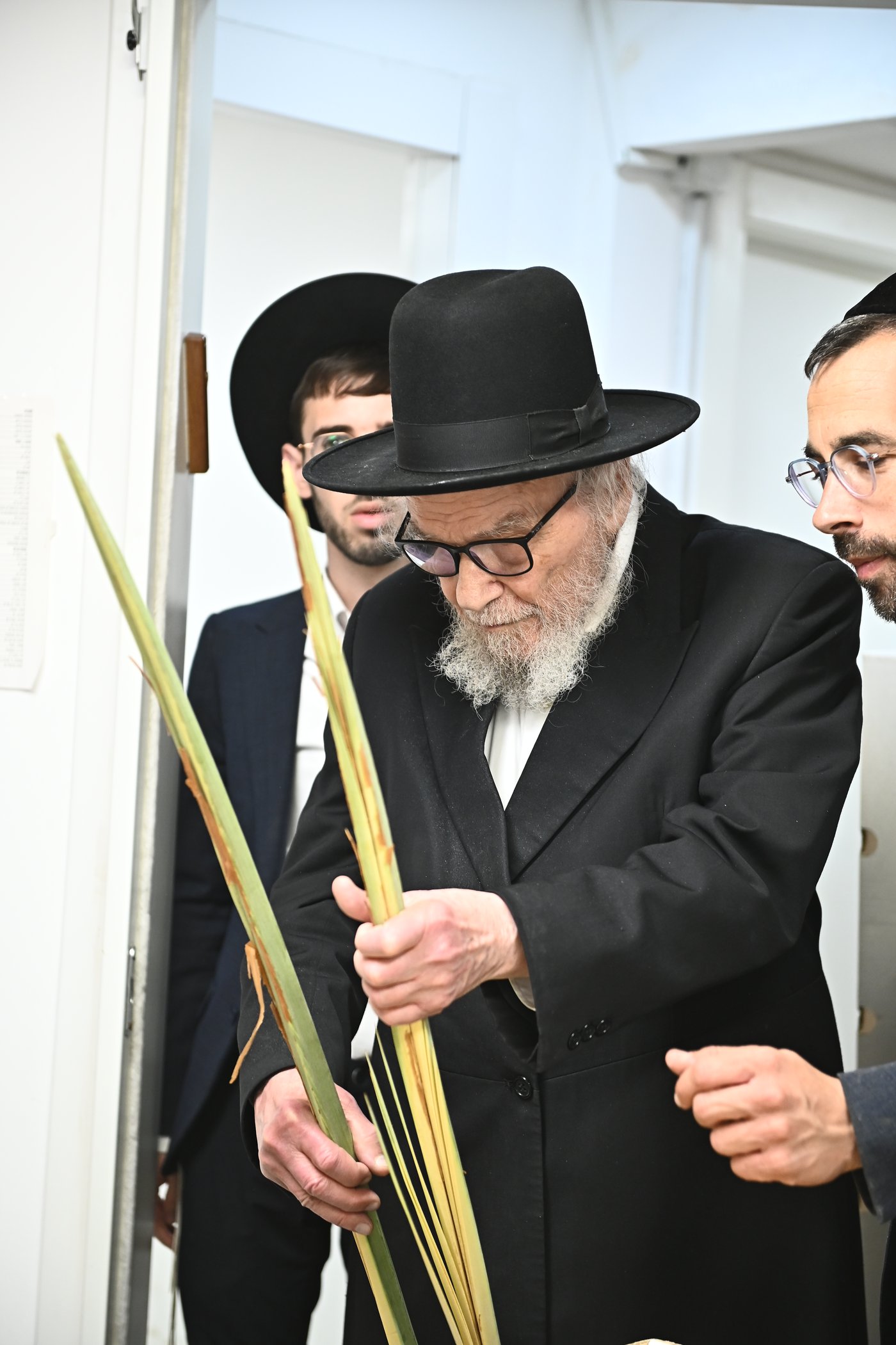 הגאון רבי משה הלל הירש שליט"א בבדיקת הלולבים