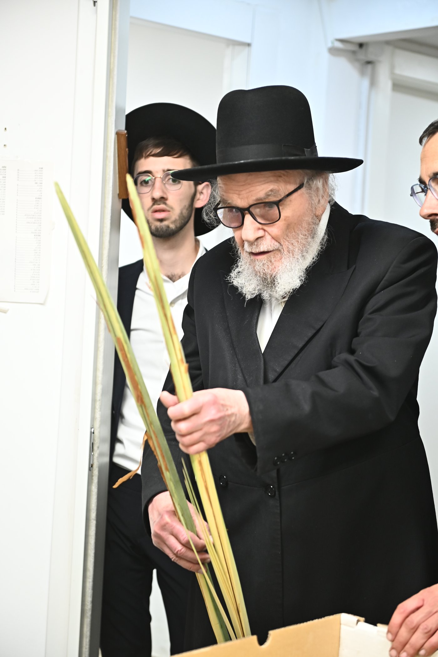 הגאון רבי משה הלל הירש שליט"א בבדיקת הלולבים