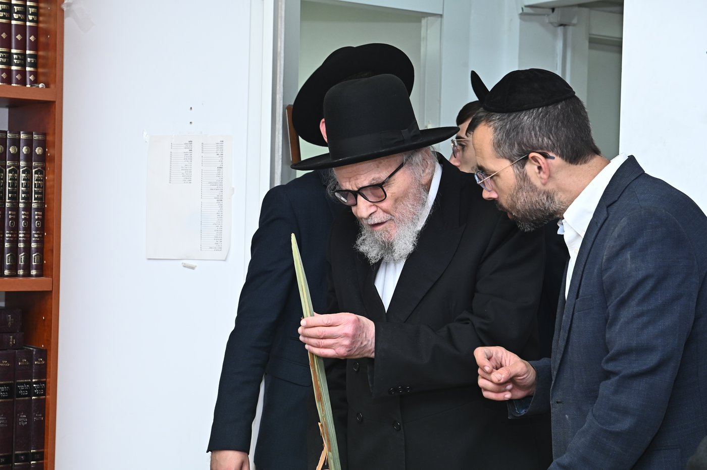 הגאון רבי משה הלל הירש שליט"א בבדיקת הלולבים