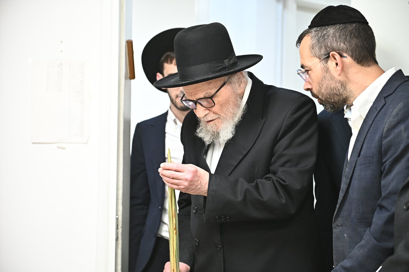 הגאון רבי משה הלל הירש שליט"א בבדיקת הלולבים