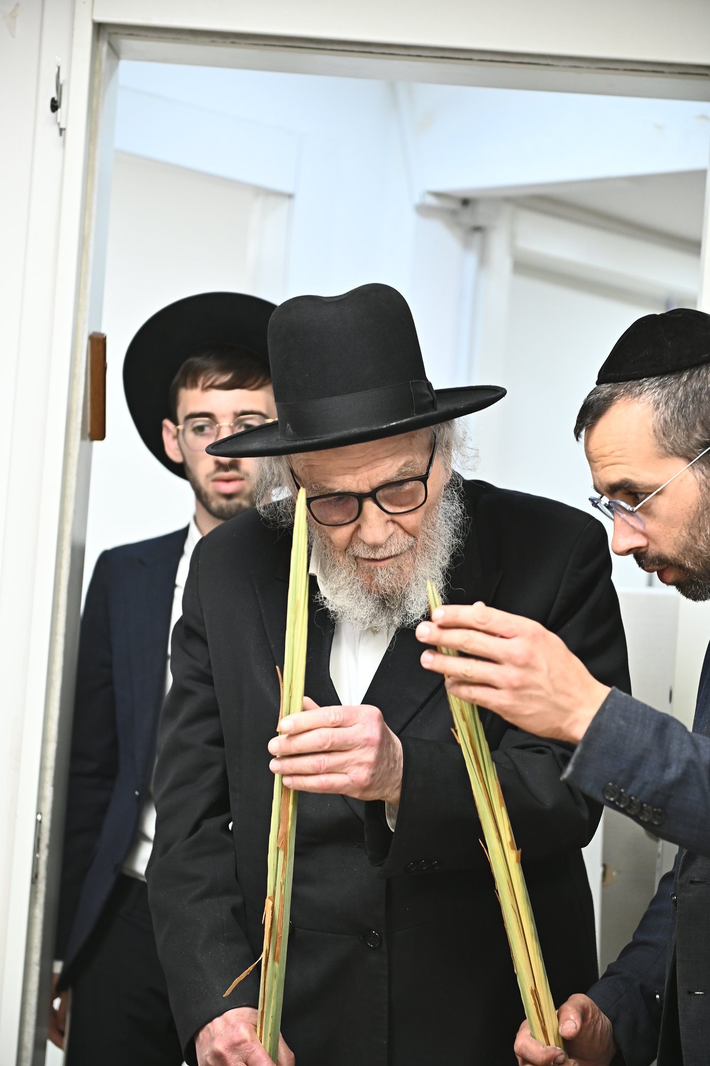 הגאון רבי משה הלל הירש שליט"א בבדיקת הלולבים