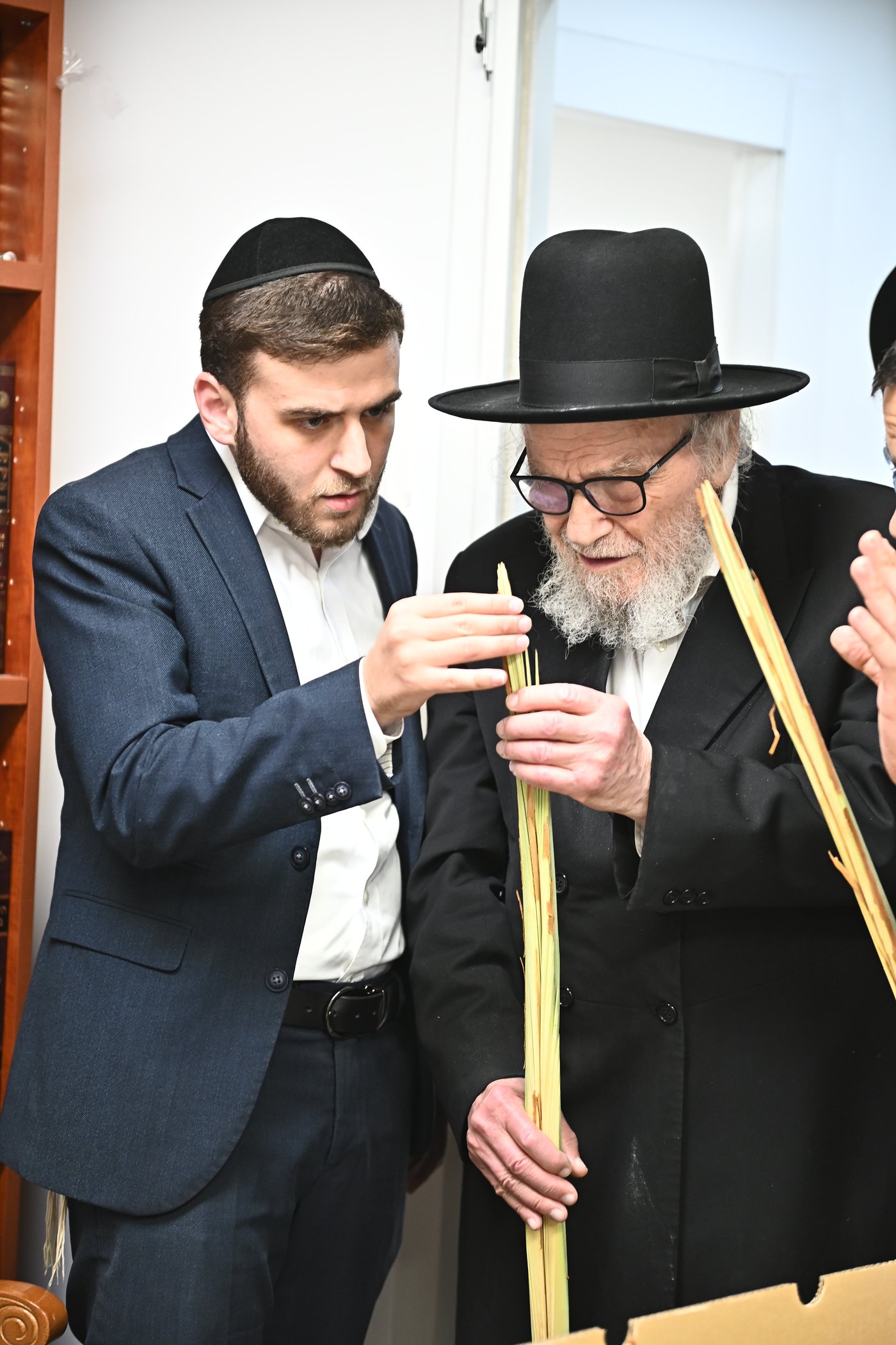 הגאון רבי משה הלל הירש שליט"א בבדיקת הלולבים