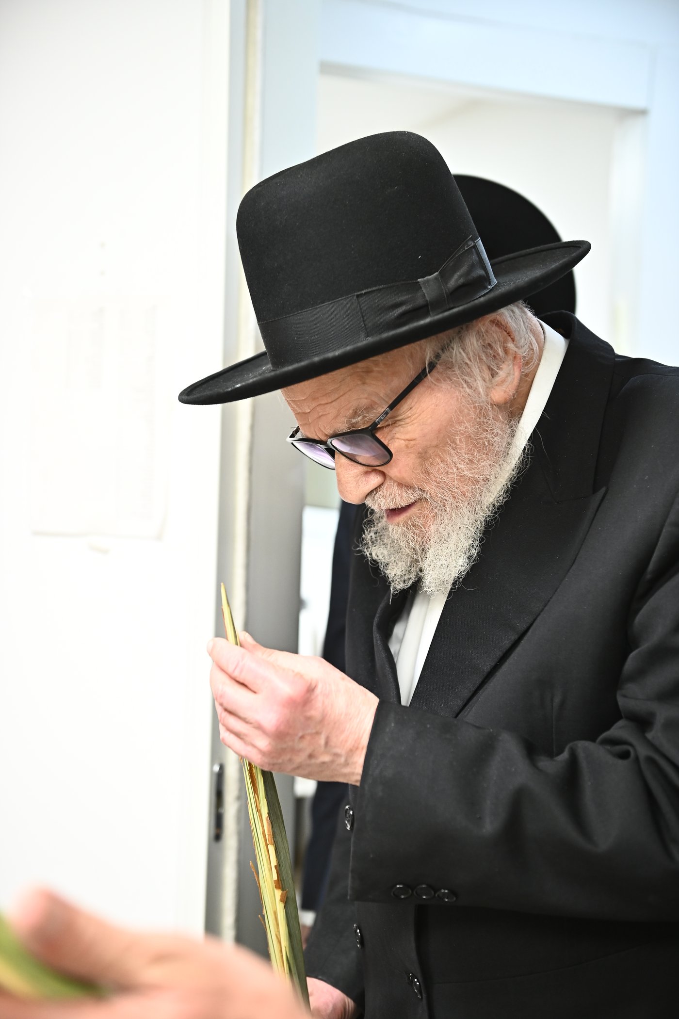 הגאון רבי משה הלל הירש שליט"א בבדיקת הלולבים