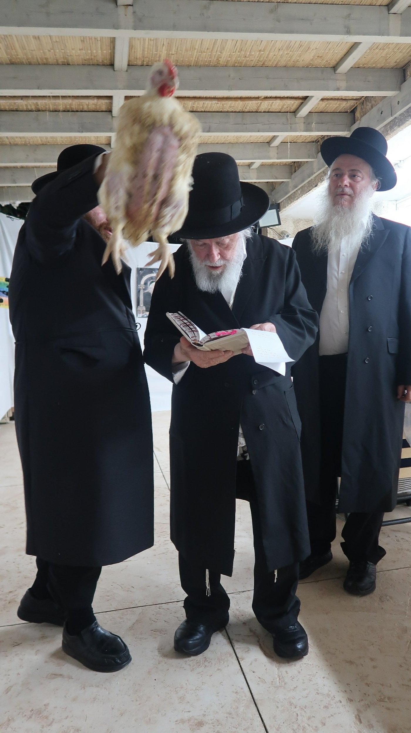 הגר"י זילברשטיין שליט"א במנהג כפרות