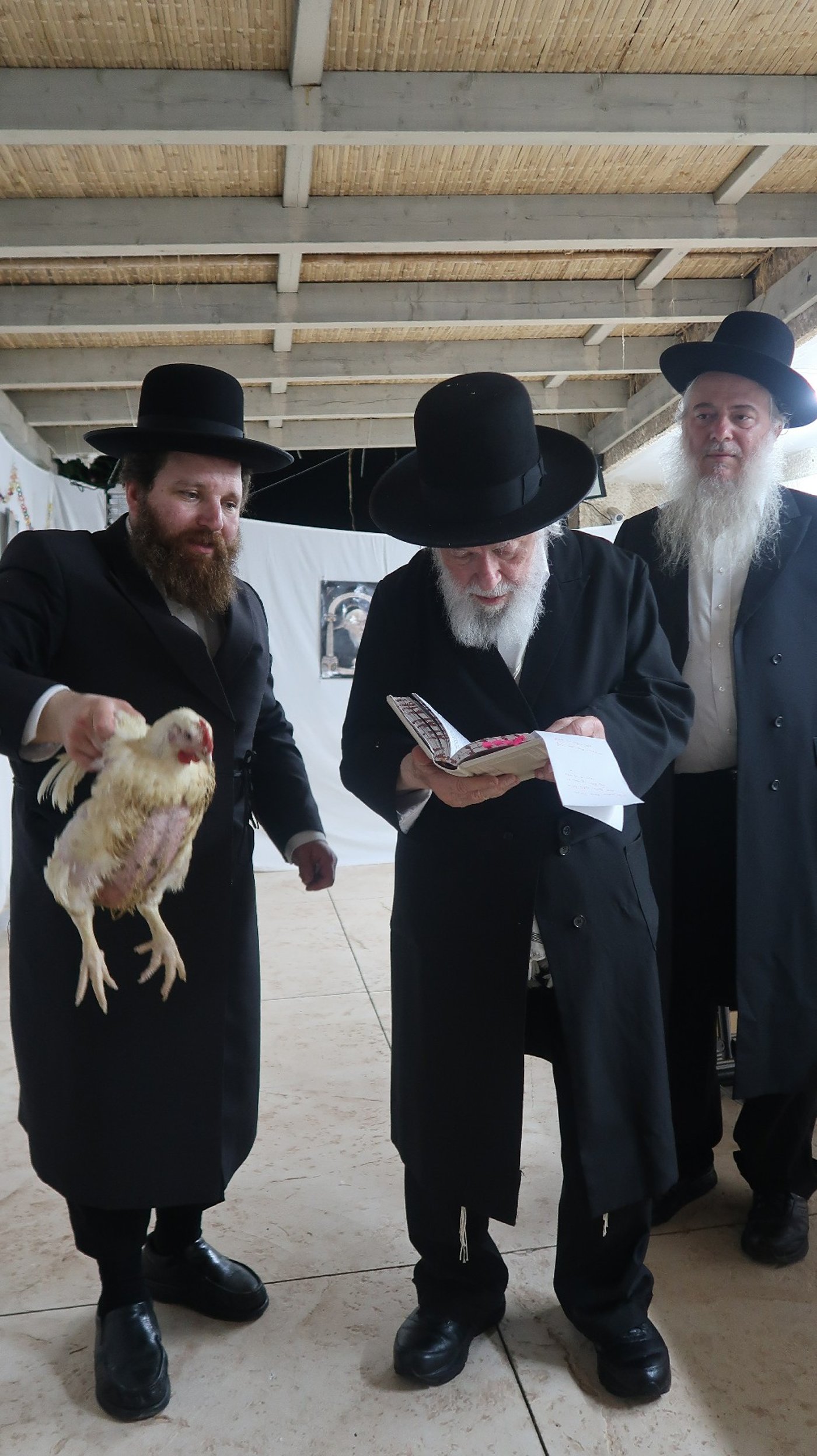 הגר"י זילברשטיין שליט"א במנהג כפרות