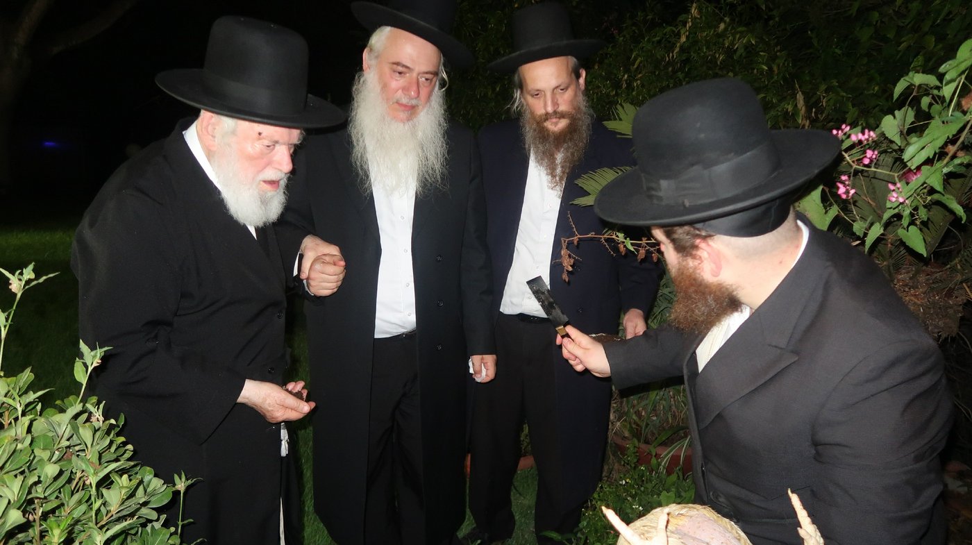 הגר"י זילברשטיין שליט"א במנהג כפרות