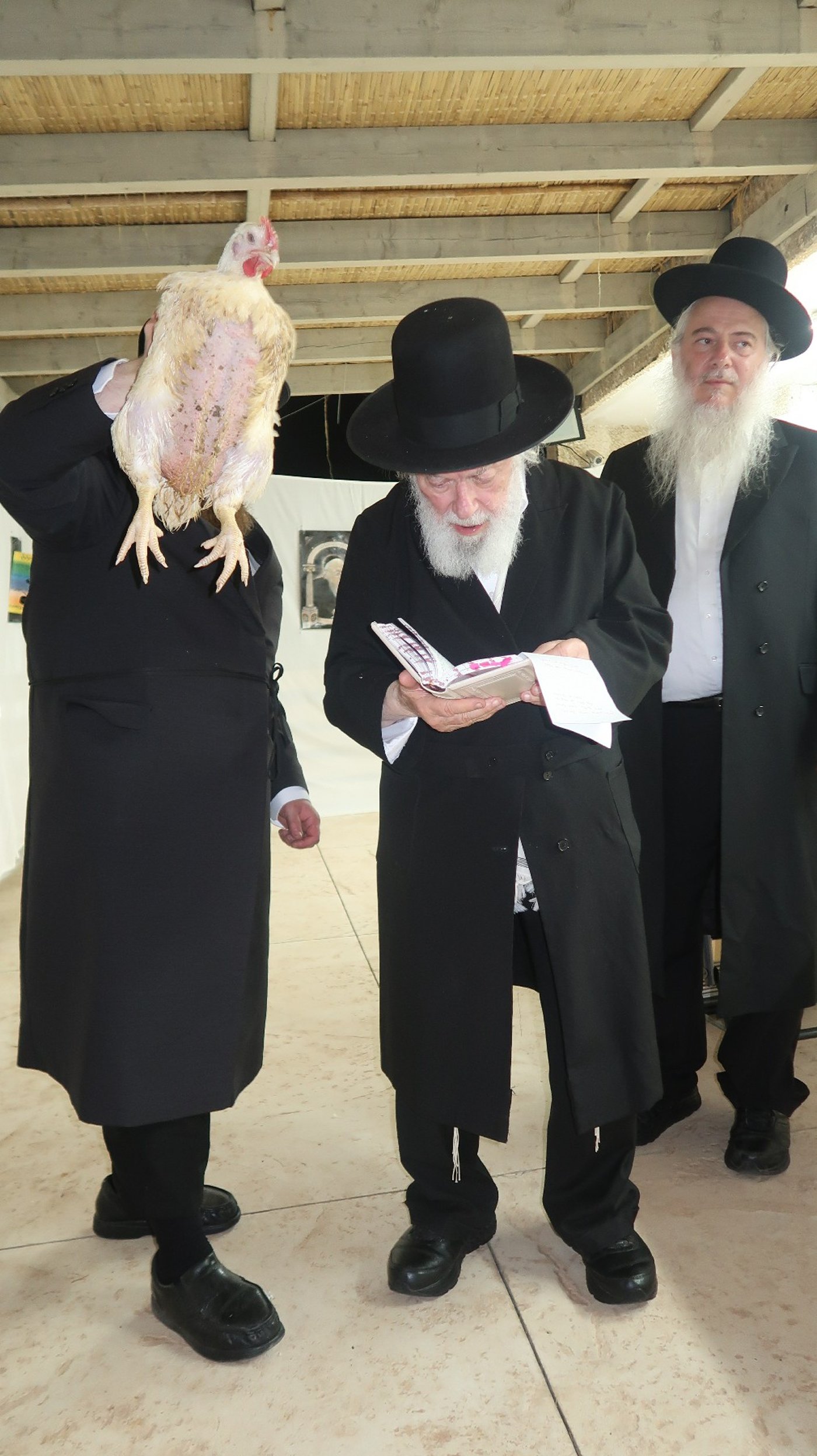 הגר"י זילברשטיין שליט"א במנהג כפרות