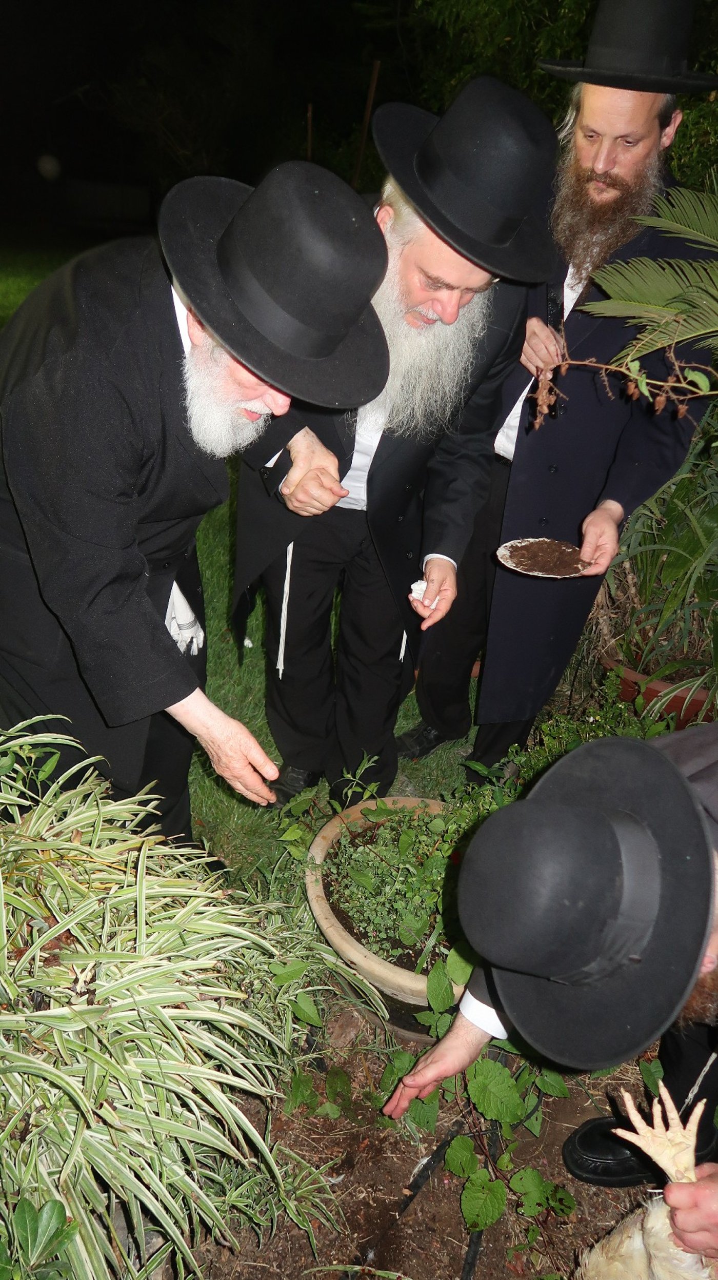 הגר"י זילברשטיין שליט"א במנהג כפרות