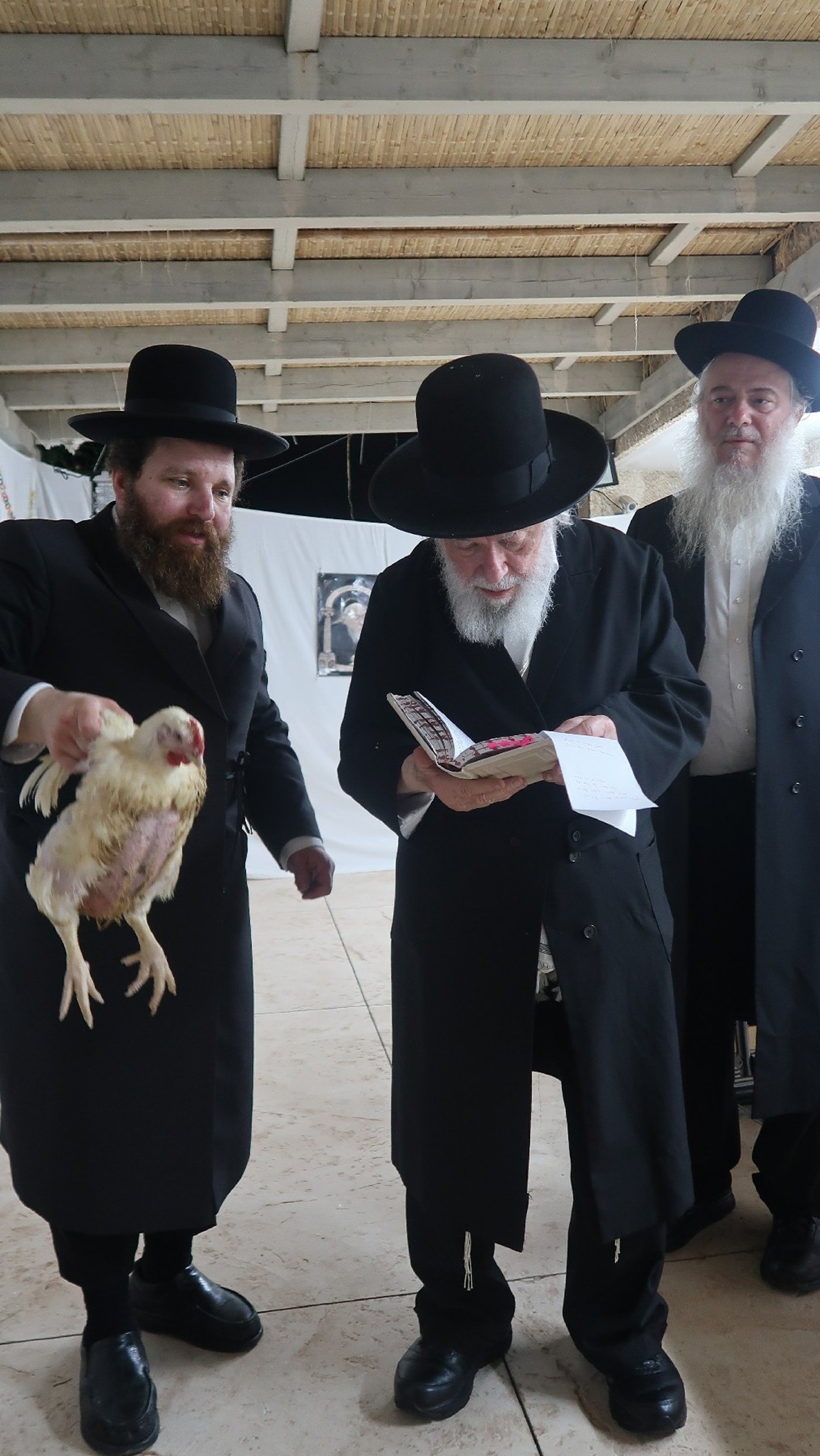 הגר"י זילברשטיין שליט"א במנהג כפרות