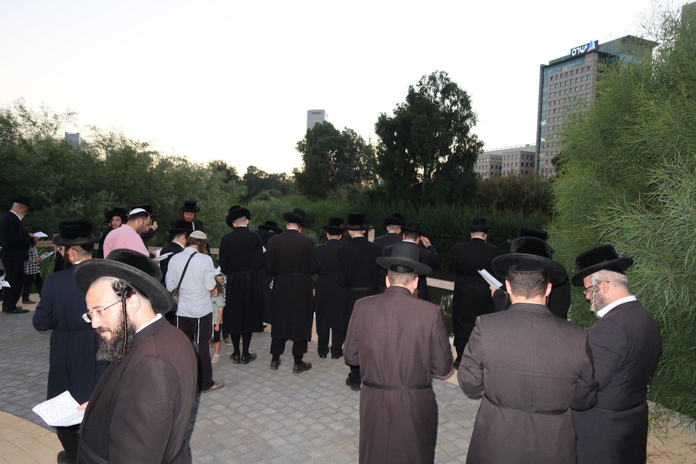 האדמו"ר ממיאלען שליט"א בתשליך | צילום: י. פריד