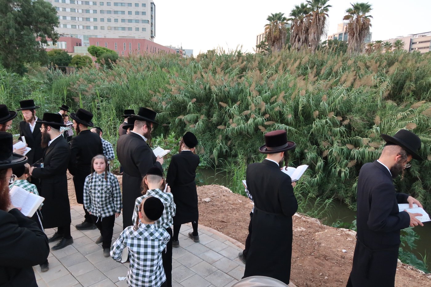 האדמו"ר ממיאלען שליט"א בתשליך | צילום: י. פריד