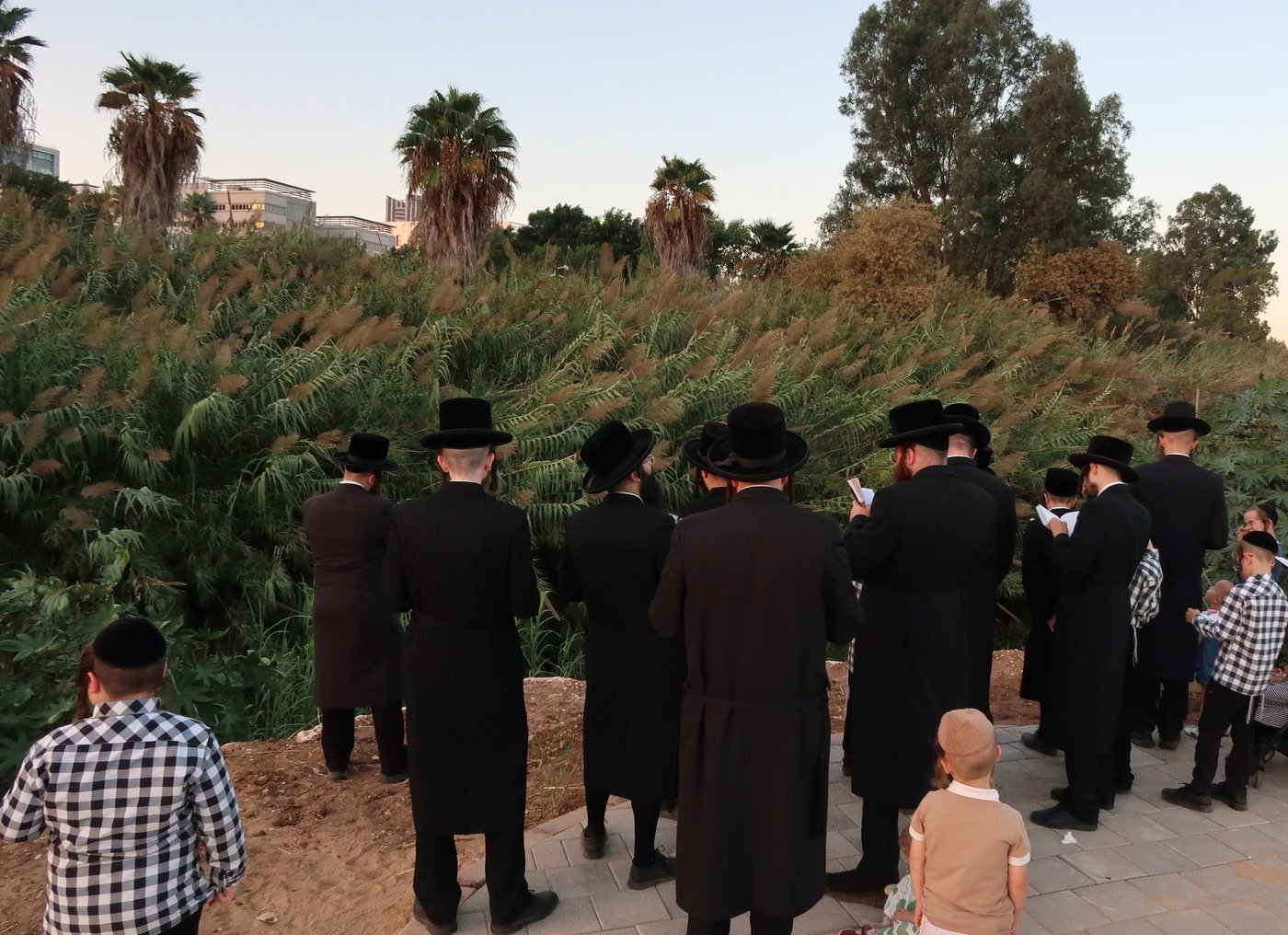 האדמו"ר ממיאלען שליט"א בתשליך | צילום: י. פריד