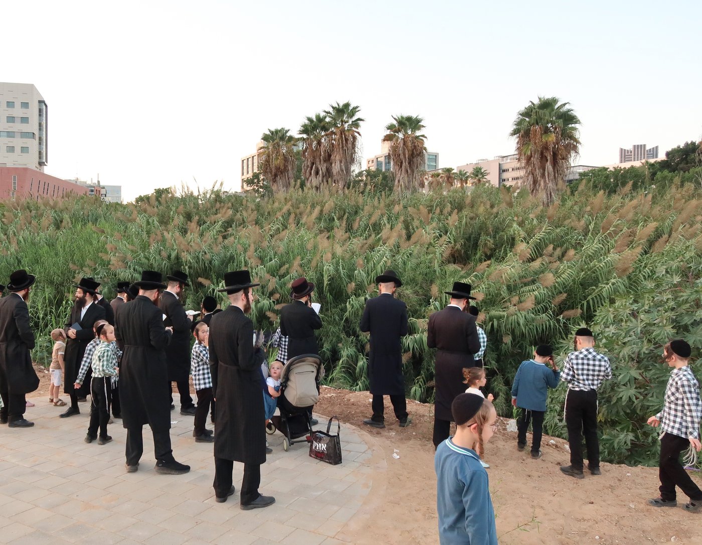 האדמו"ר ממיאלען שליט"א בתשליך | צילום: י. פריד