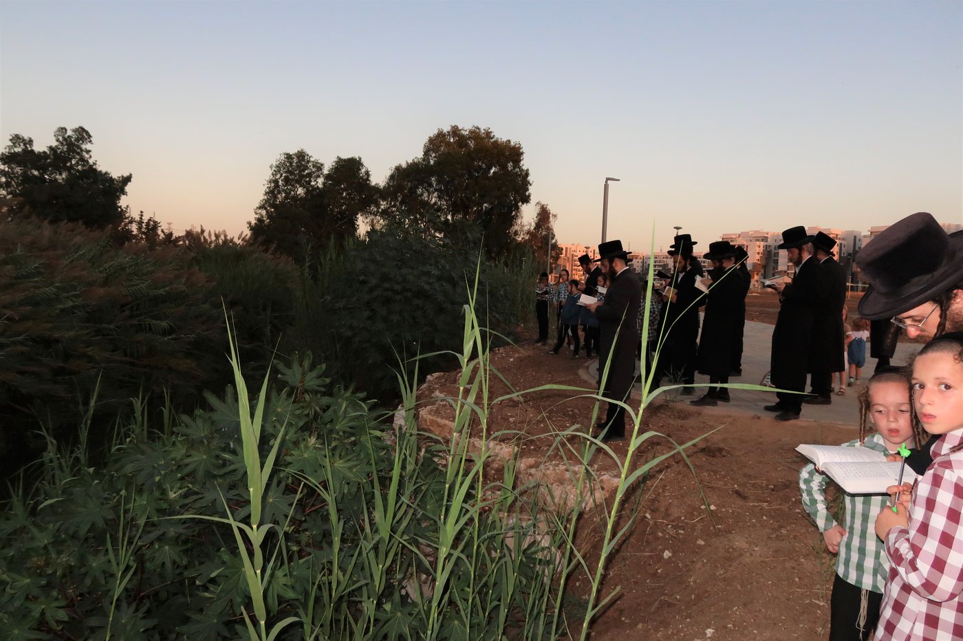 האדמו"ר ממיאלען שליט"א בתשליך | צילום: י. פריד