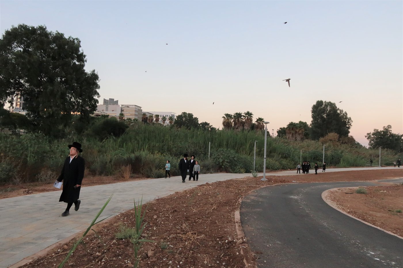 האדמו"ר ממיאלען שליט"א בתשליך | צילום: י. פריד