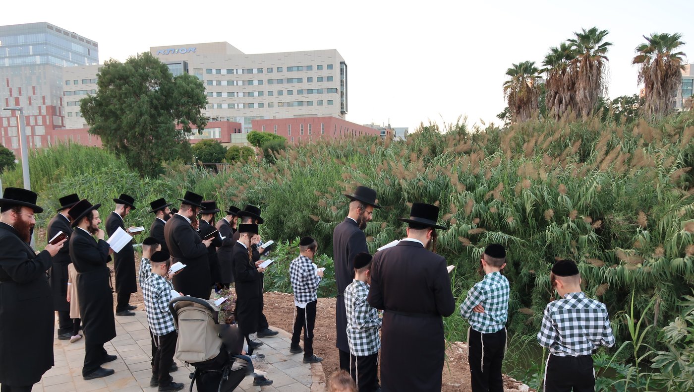 האדמו"ר ממיאלען שליט"א בתשליך | צילום: י. פריד