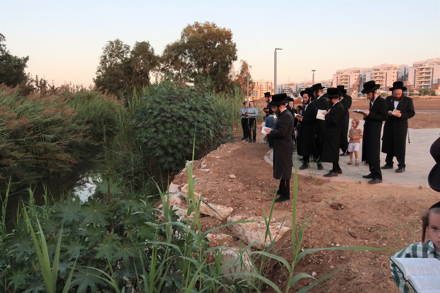 האדמו"ר ממיאלען שליט"א בתשליך | צילום: י. פריד