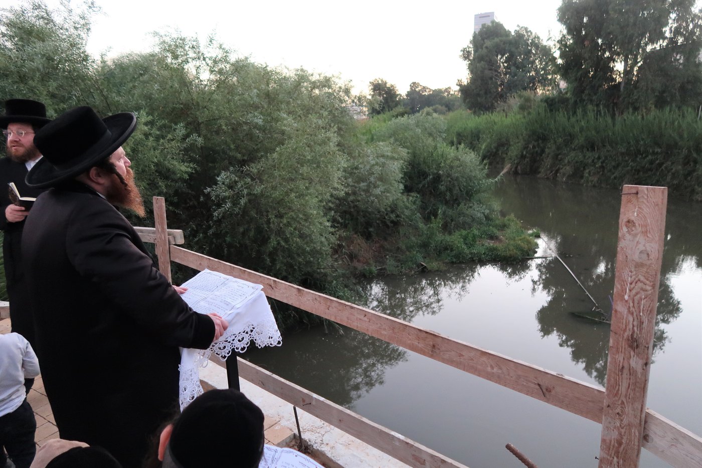 האדמו"ר ממיאלען שליט"א בתשליך | צילום: י. פריד