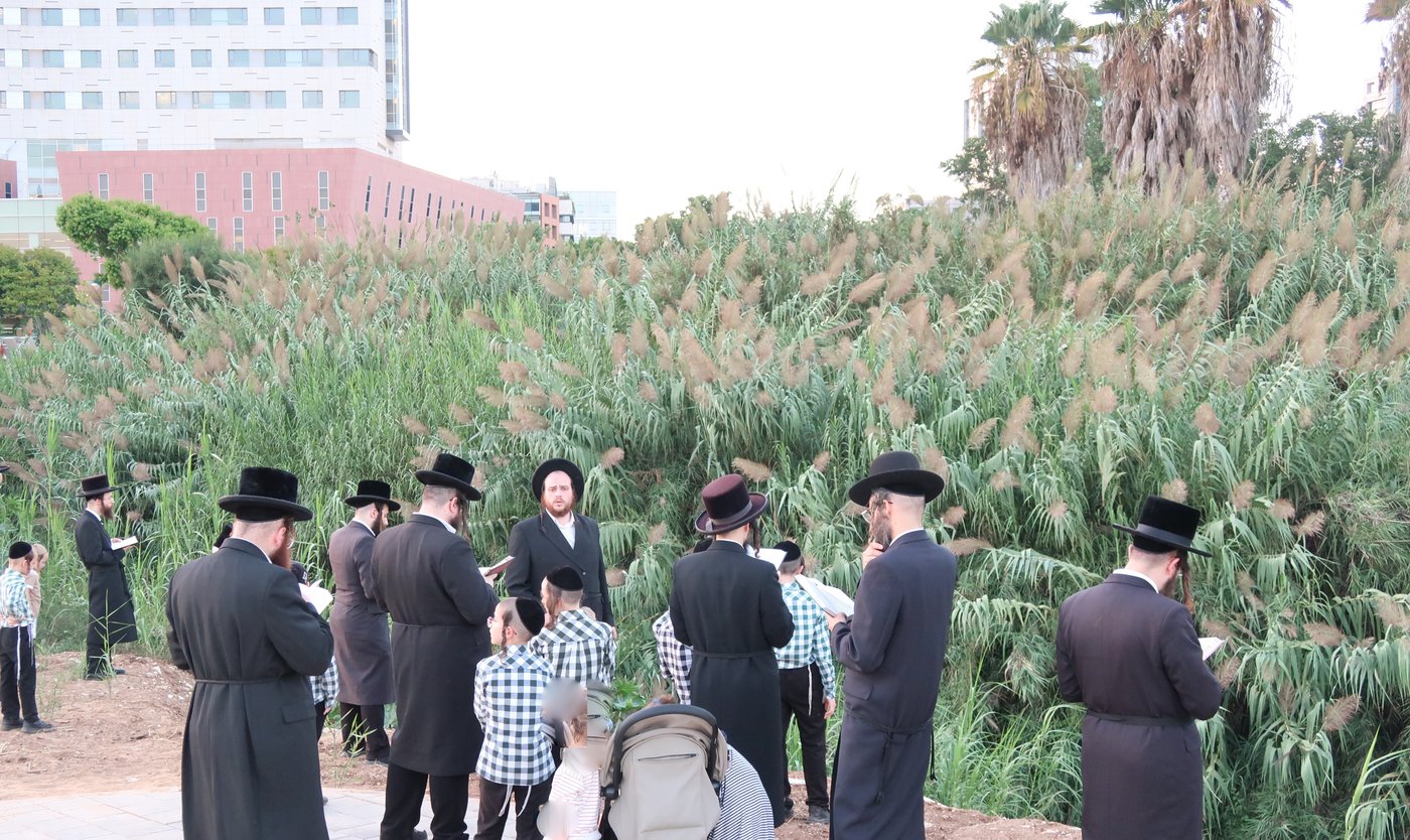 האדמו"ר ממיאלען שליט"א בתשליך | צילום: י. פריד