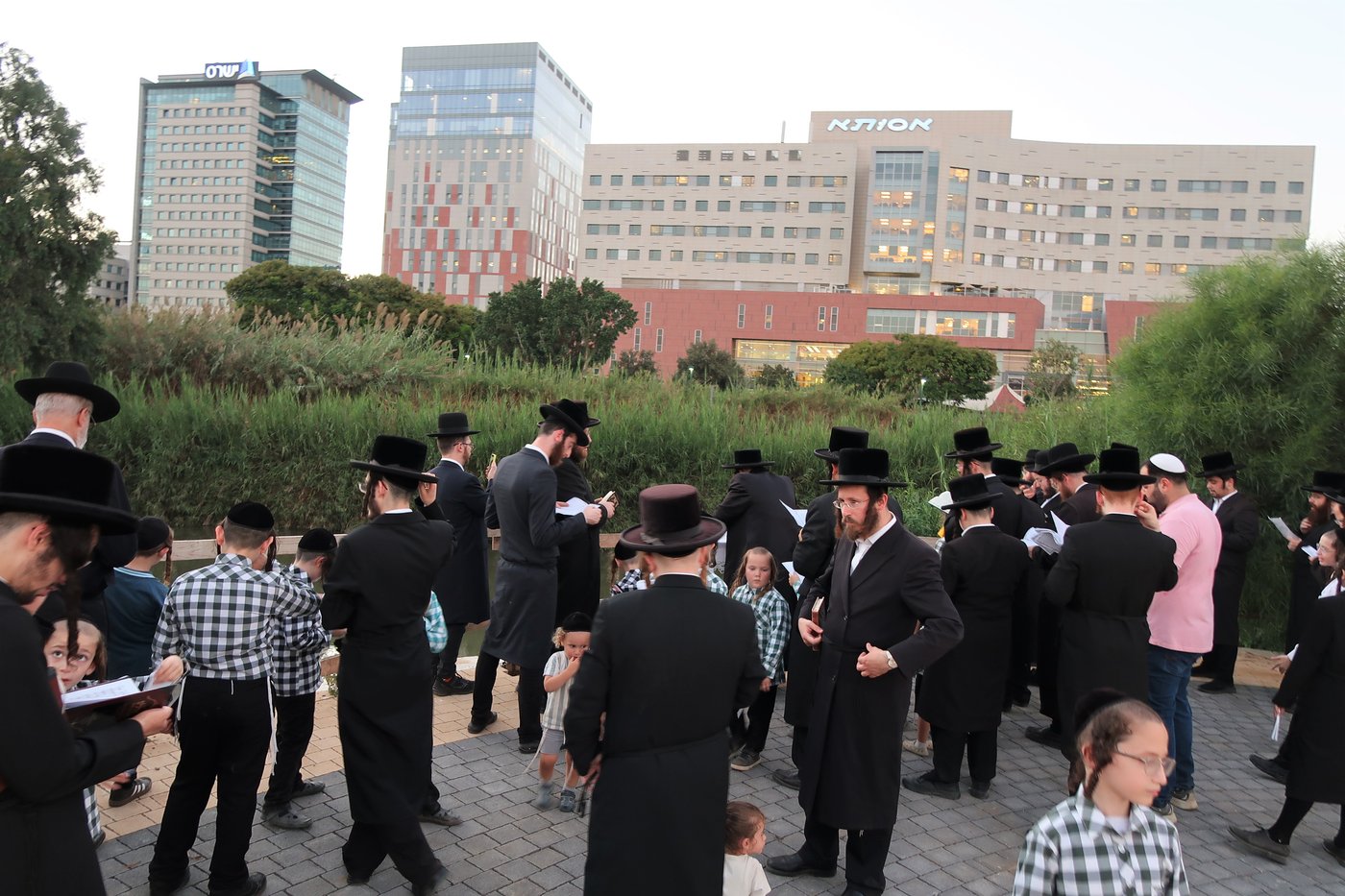 האדמו"ר ממיאלען שליט"א בתשליך | צילום: י. פריד