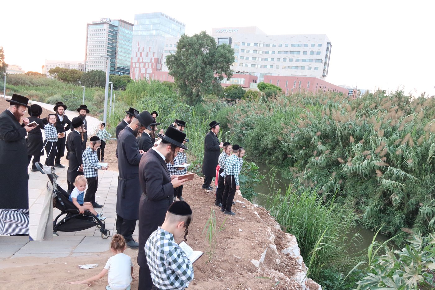 האדמו"ר ממיאלען שליט"א בתשליך | צילום: י. פריד