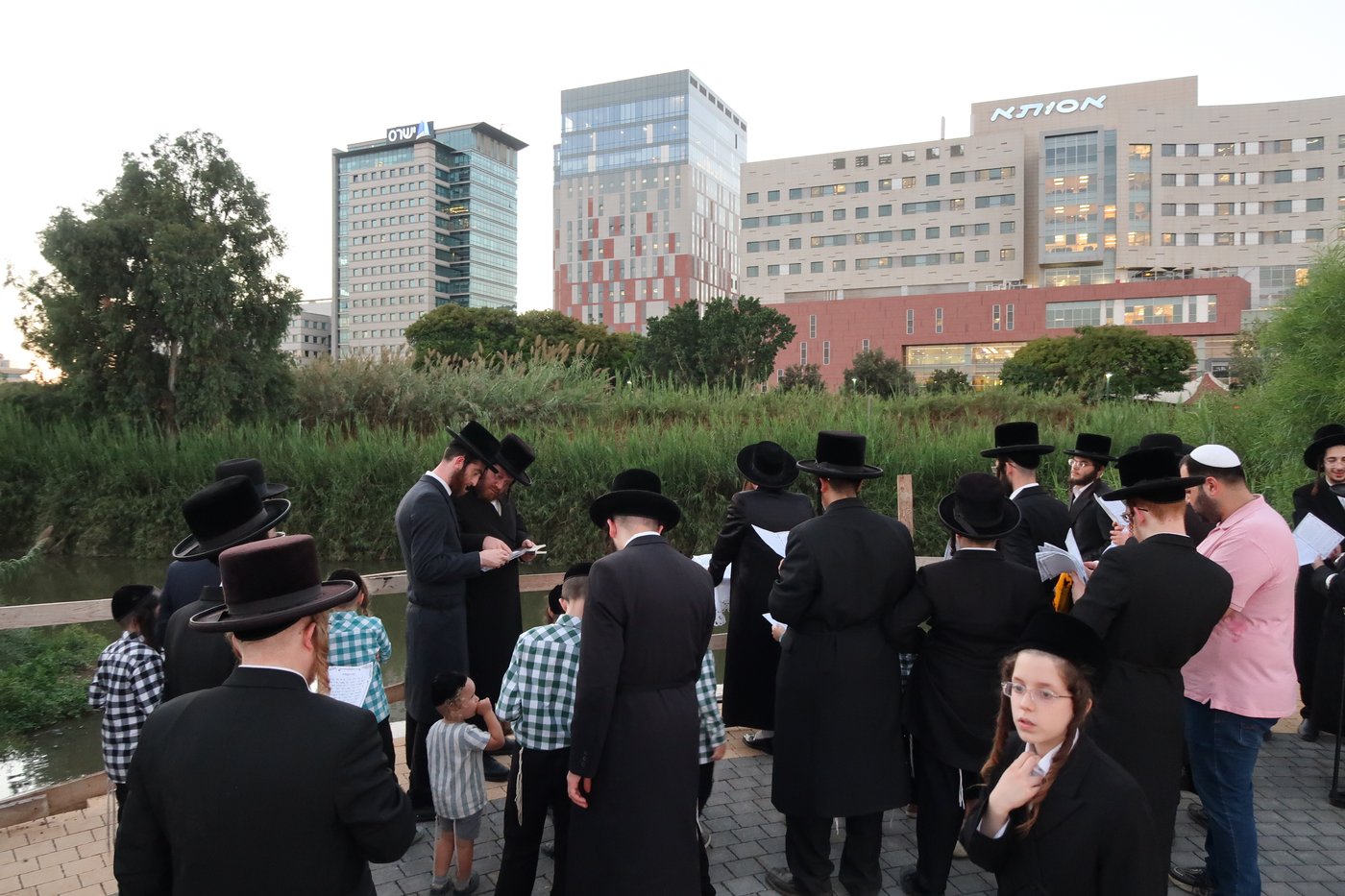 האדמו"ר ממיאלען שליט"א בתשליך | צילום: י. פריד