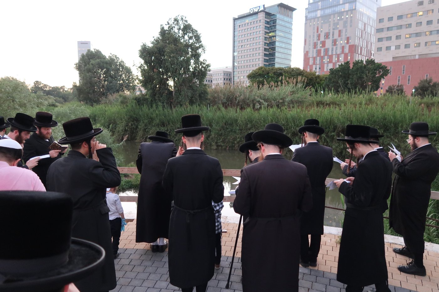 האדמו"ר ממיאלען שליט"א בתשליך | צילום: י. פריד