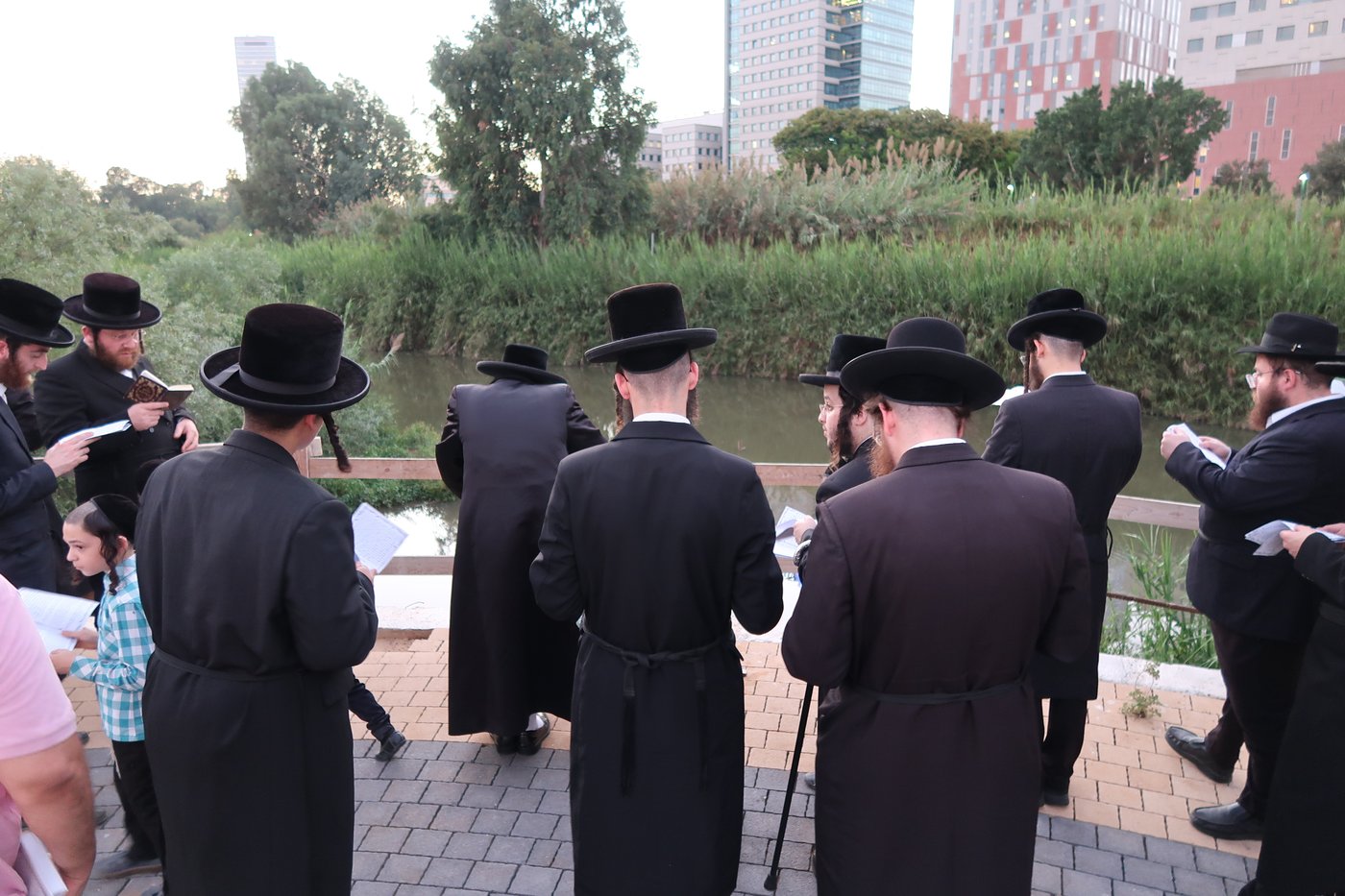 האדמו"ר ממיאלען שליט"א בתשליך | צילום: י. פריד