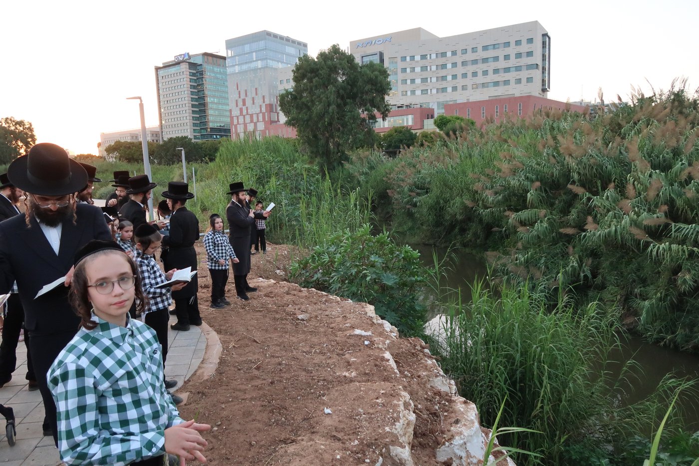 האדמו"ר ממיאלען שליט"א בתשליך | צילום: י. פריד